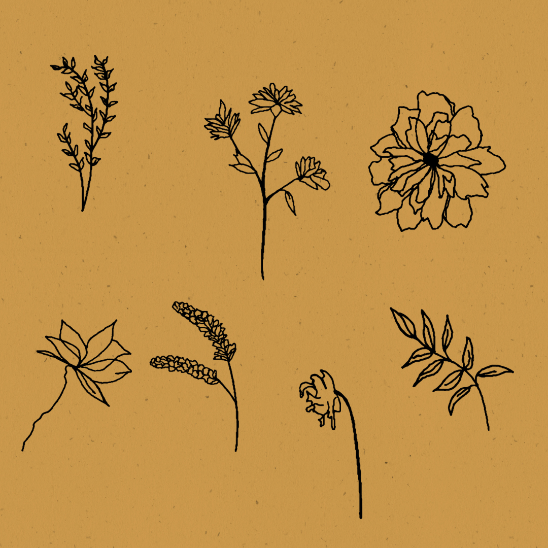 Hand Drawn Graphics pack: Floral Garden