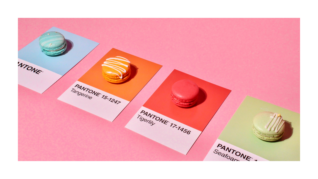 The Psychology of Color in Branding: How to Choose the Right Palette