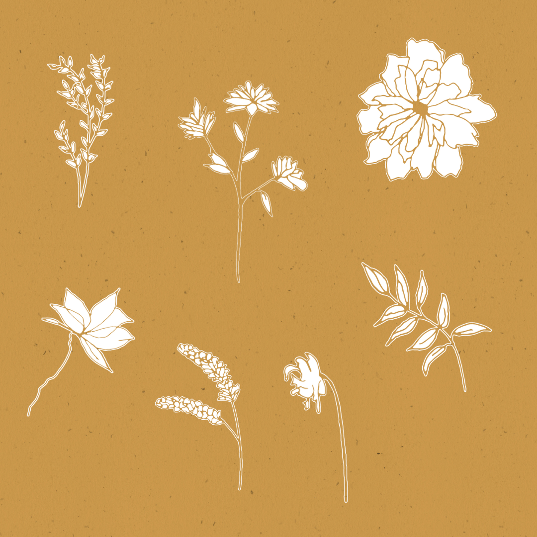 Hand Drawn Graphics pack: Floral Garden